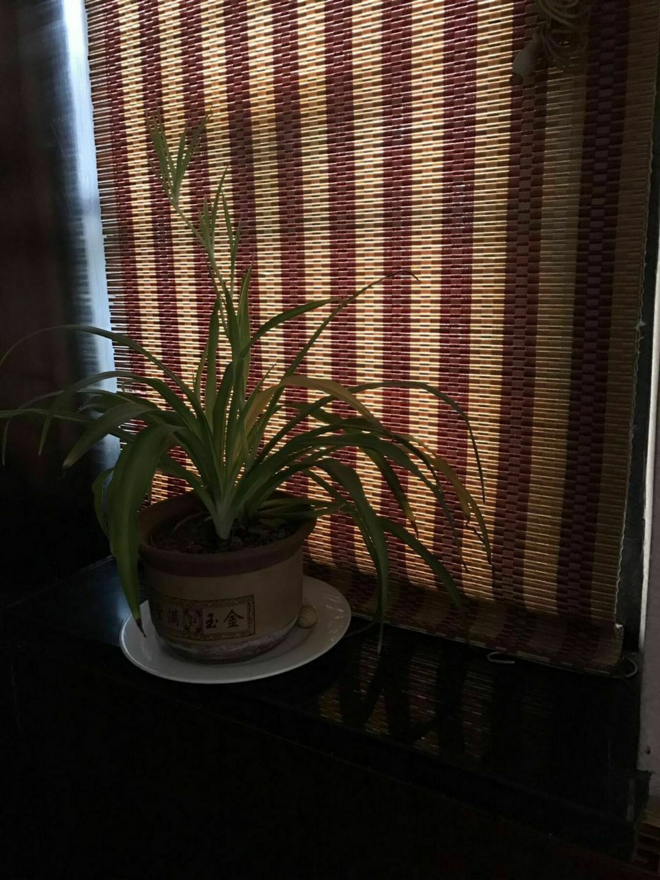Pingyao Free Heart Hotel المظهر الخارجي الصورة